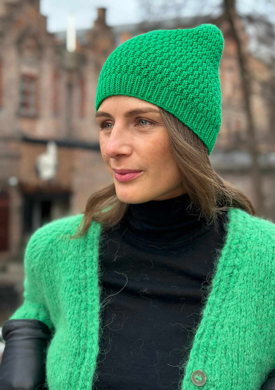 Audrey Beanie and ear warmer