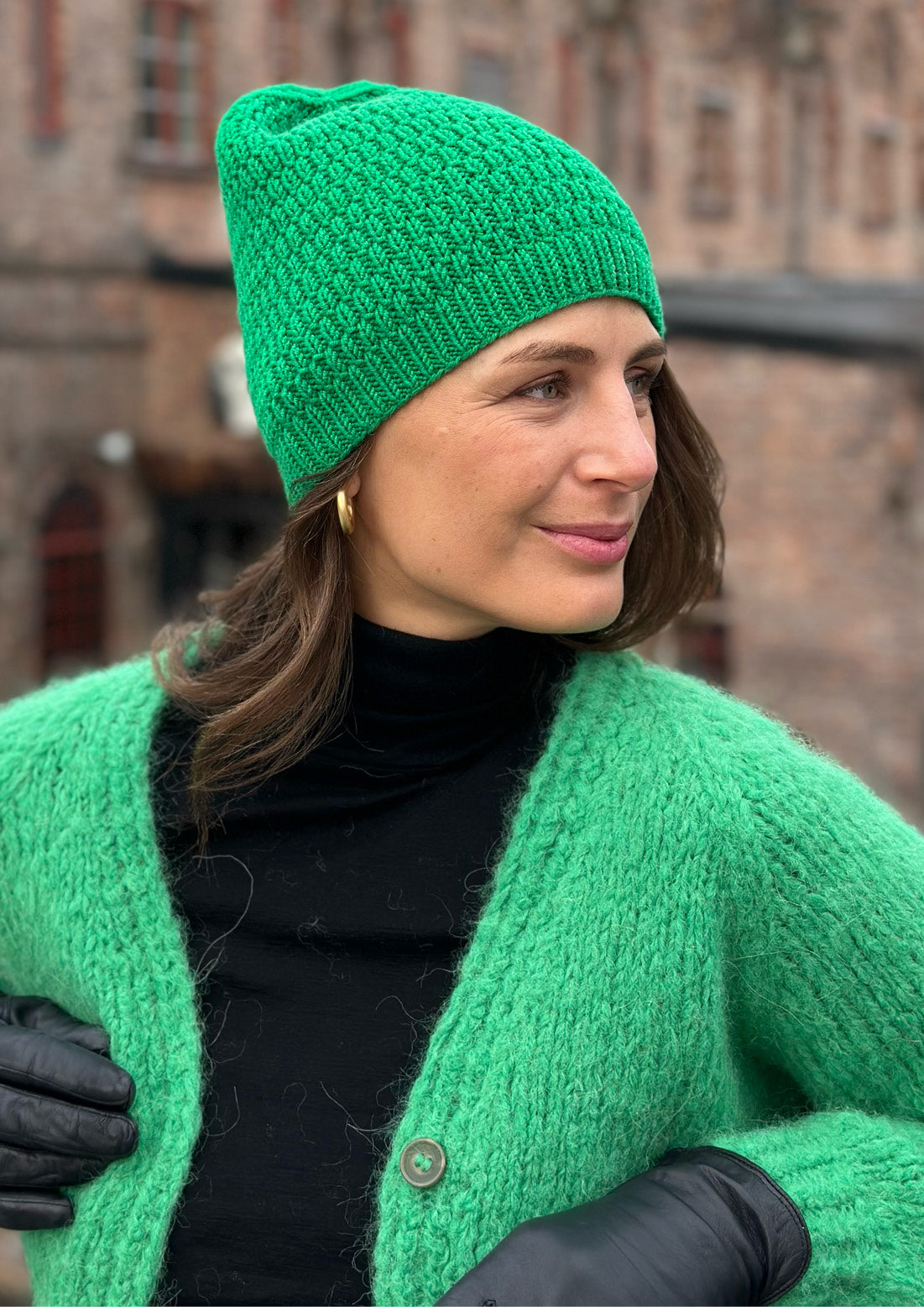 Audrey Beanie and ear warmer
