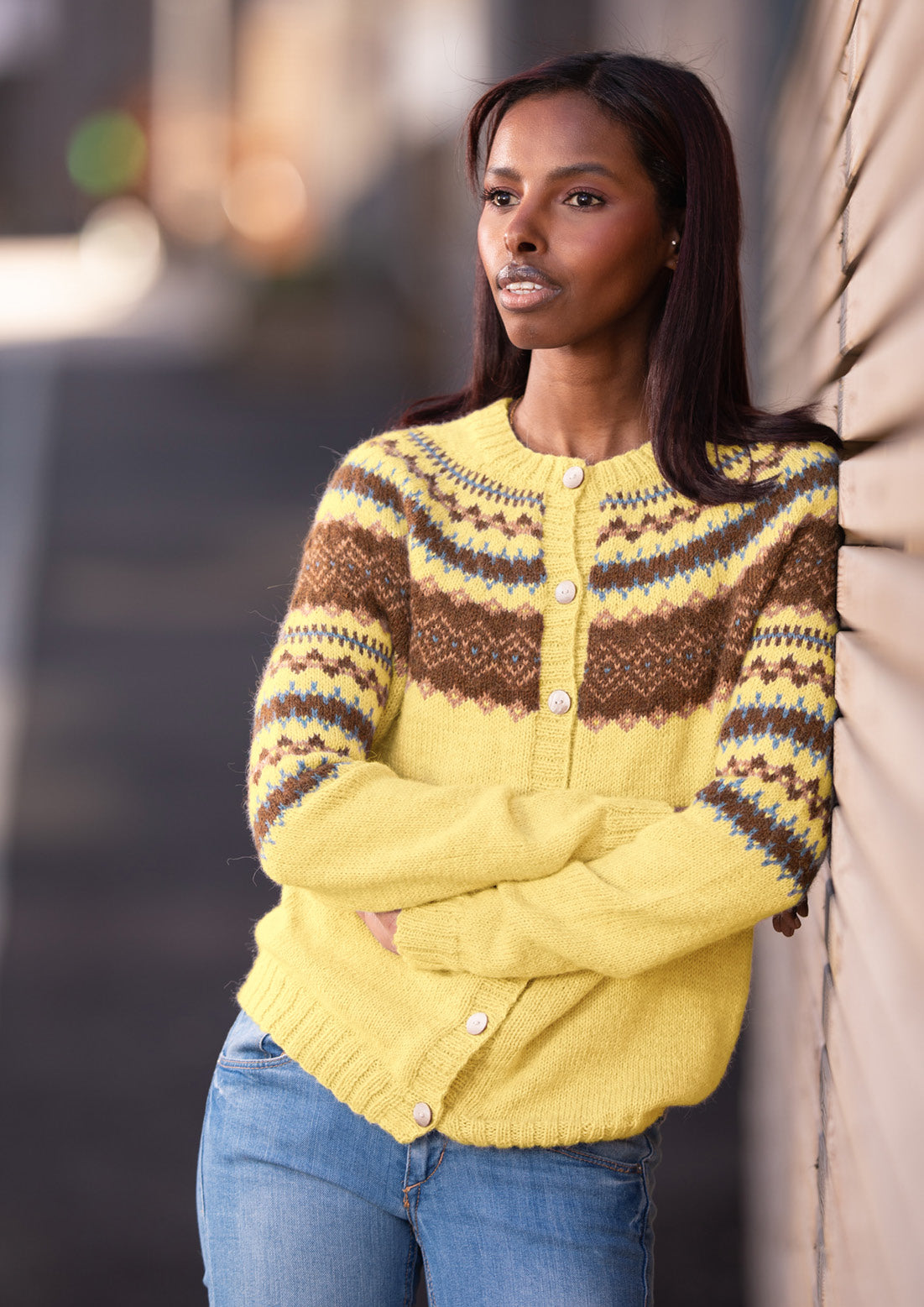 RetroFin Cardigan (pdf)