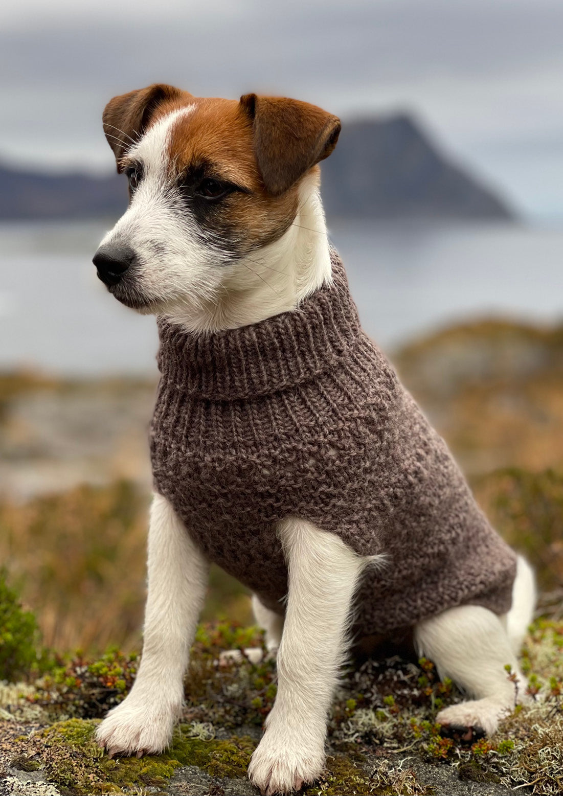 Sienna Hundegenser (pdf)