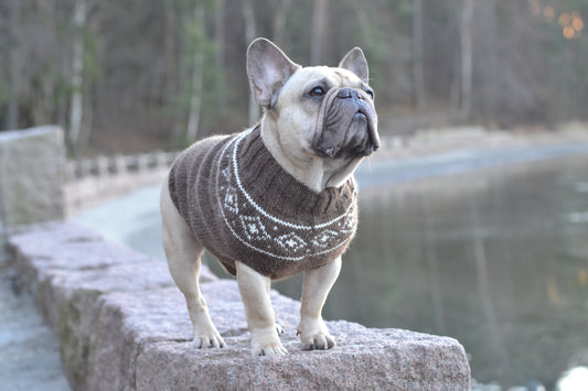 Snowygenser til hund