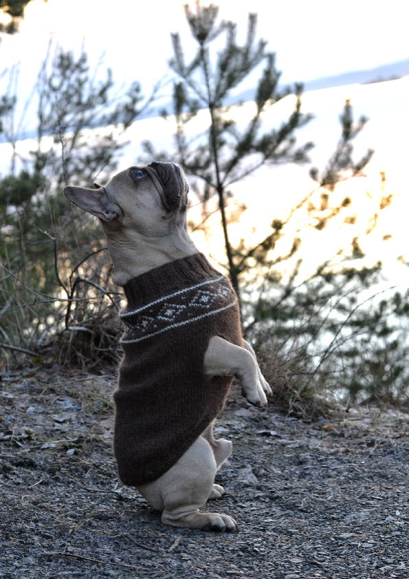 Snowygenser til hund