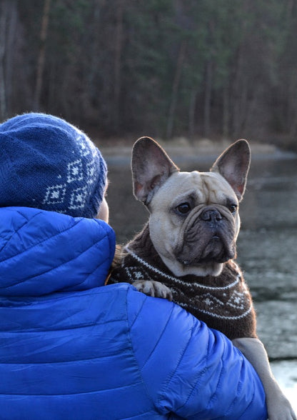Snowygenser til hund