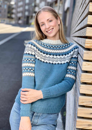 RetroFin Sweater (pdf)