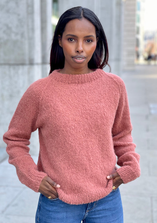 Staceygenser